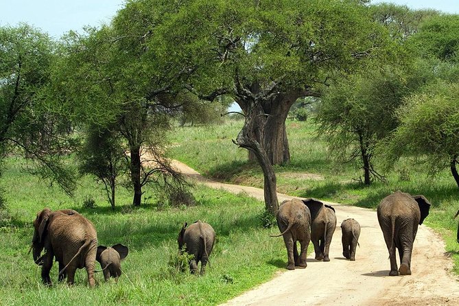 Tarangire National Park Day Trip From Arusha - Pickup and Drop-off Points