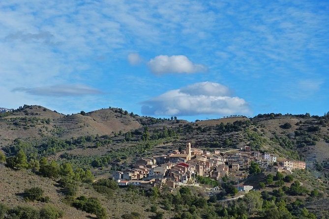 Tarragona Ruins & Priorat 1 Day - Reduced Group Hotel Pick up From Barcelona - Tour Highlights