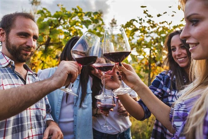 Taste First Organic Wine in Meysari Village in Shamakhy