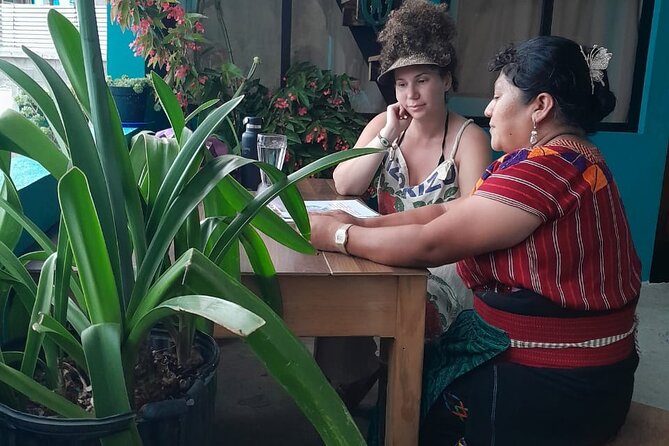 Temazcal Sauna and Dinner, Cultural Sharing Experience