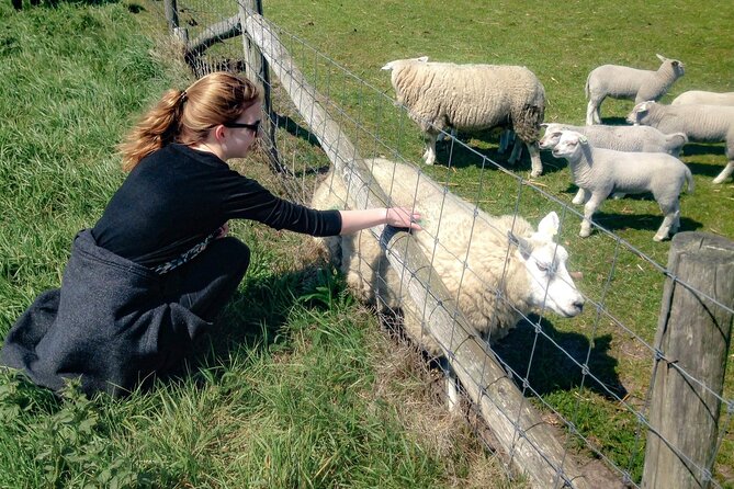 Texel Day Tour With Guide - Tour Inclusions and Costs