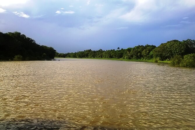 The Amazon River and the Meeting of the Waters Group Tour
