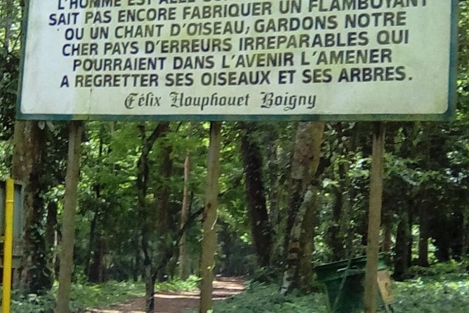 The Banco National Park and Bingerville Tour in Abidjan