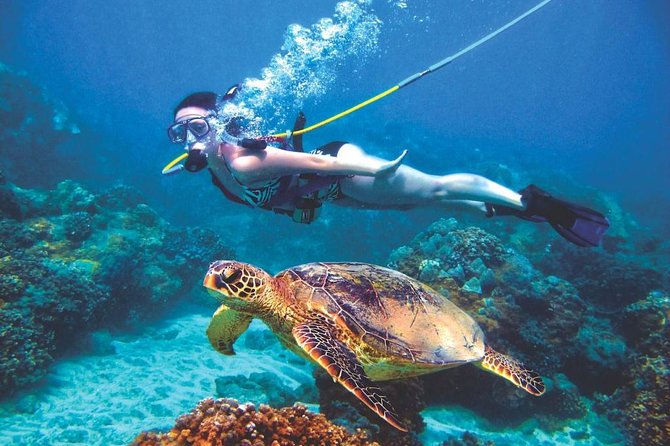 The Best Places Where to Snorkel and Dive - Top Snorkeling Spots in Hurghada, Egypt