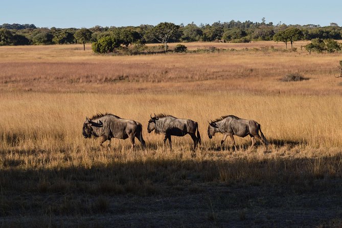 The Northern Tanzania Safari | 6 Day
