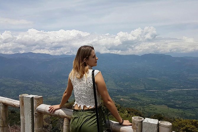 The Real Coffee Tour From Medellin