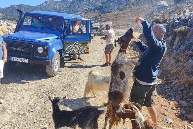 The Roads Of Wine Olive Oil And Cretan Tradition in Malia