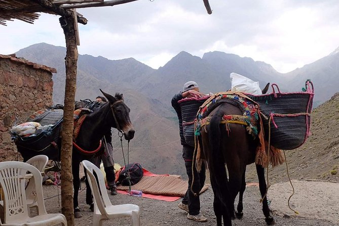Three Days Valley Trekking in High Atlas Mount