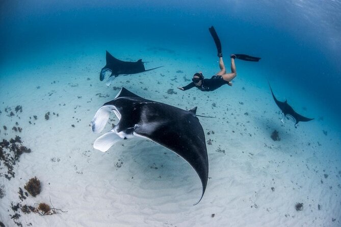 Three Islands Snorkeling Trip (3 Spots) From Lembongan (Lt)