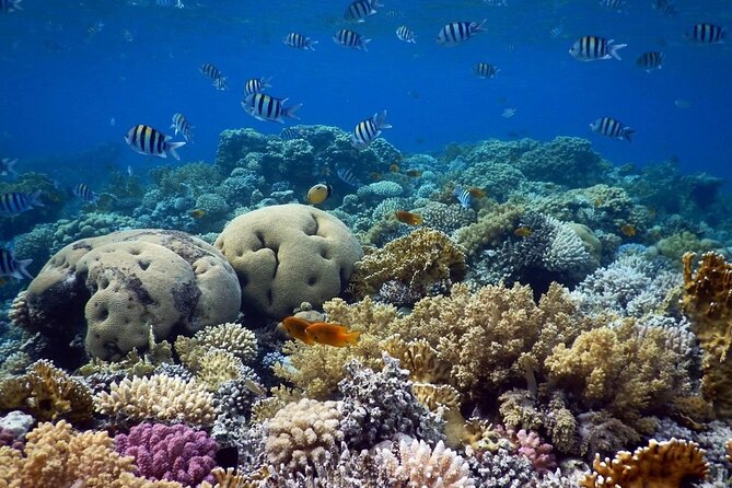 Three Pools Snorkeling Trip From Dahab