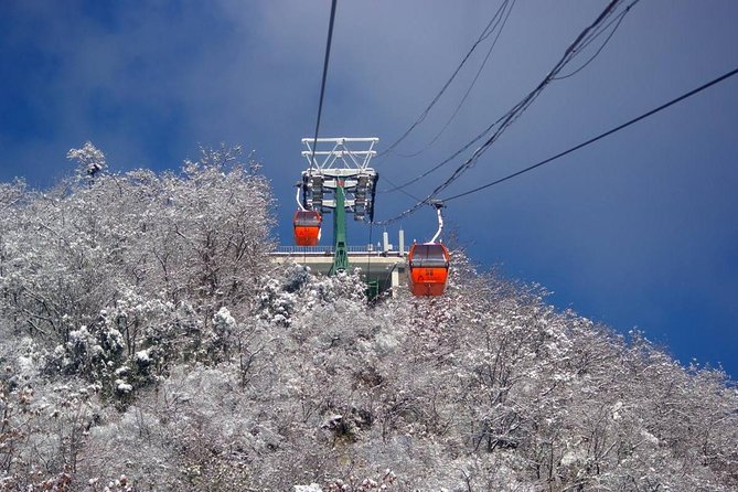 Tianjin Private Day Trip to Mutianyu Great Wall With Cable Car or Toboggan Ride - Expectations and Requirements