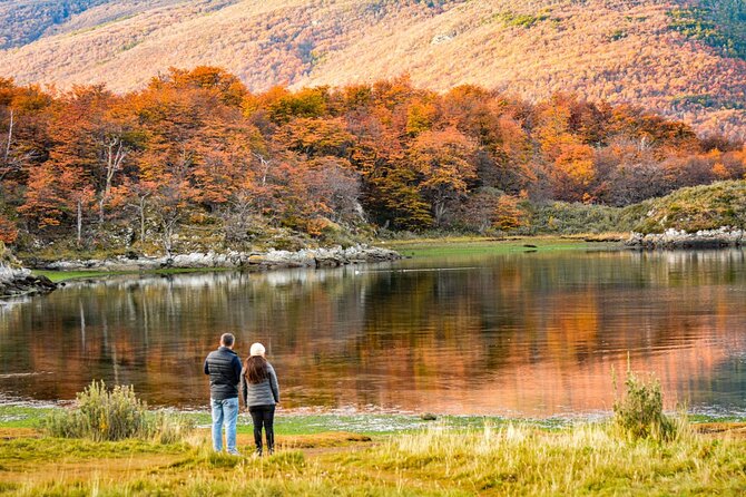 Tierra Del Fuego National Park PM - With Dinner Included - Tour Overview