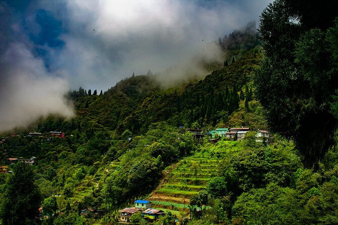 Tiger Hill Darjeeling Nature Walk (3 Hours Guided Trekking Experience) - Tour Overview