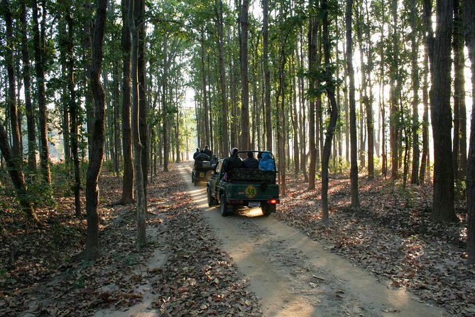 Tiger & Temple - Accommodation Details