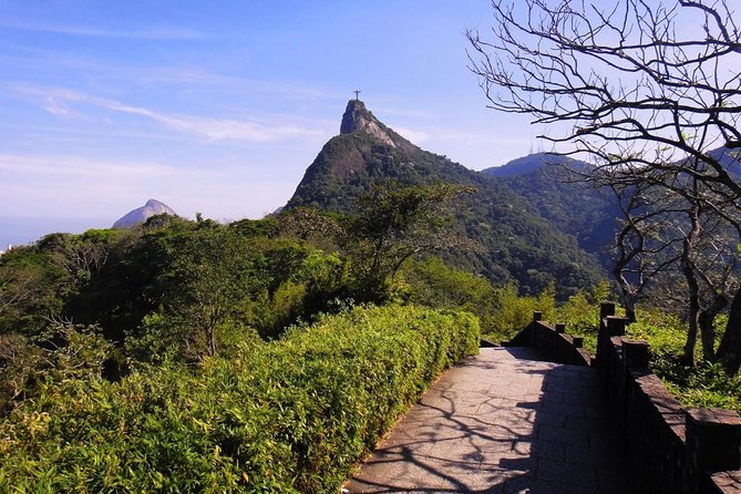 Tijuca Forest – Private Tour
