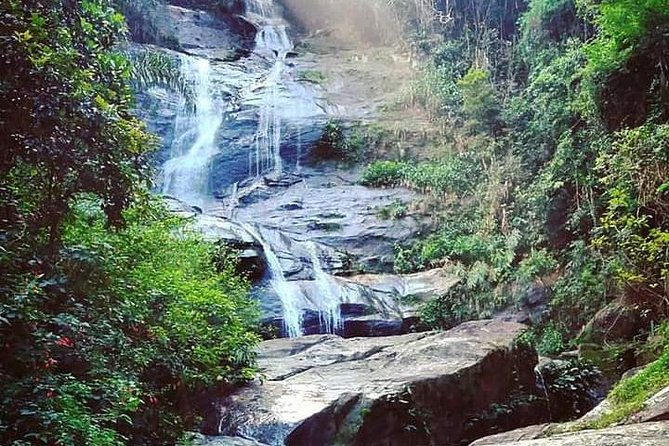 Tijuca Forest & Santa Teresa – Private Tour