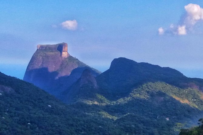 Tijuca Forest Trail Running Tour