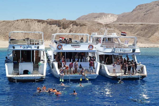 Tiran Island Boat Trip Snorkeling and Diving - Inclusions and Amenities Provided