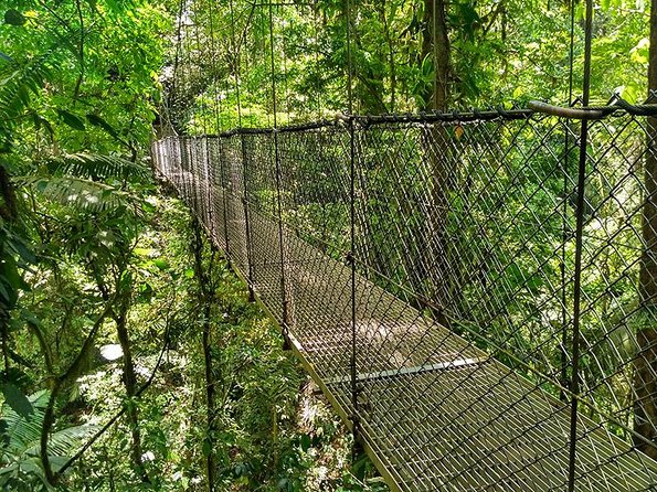 Tirolinas & Hanging Bridges Day Trip in Monteverde - Location and Inclusions