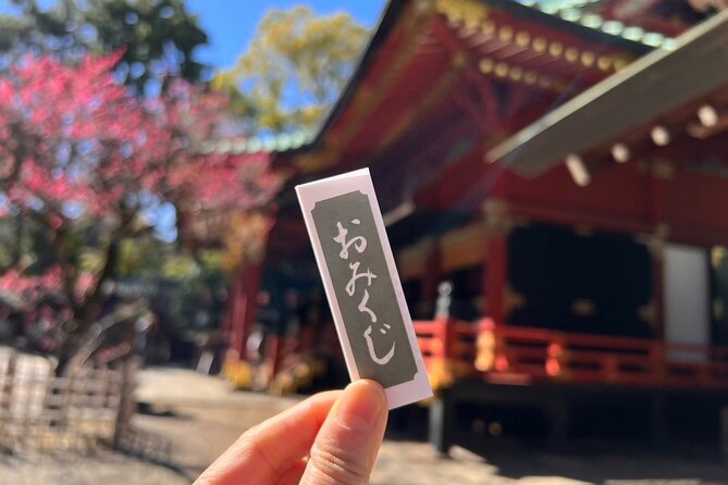 Tokyo Old Town Small Group Walking Tour - Tour Overview