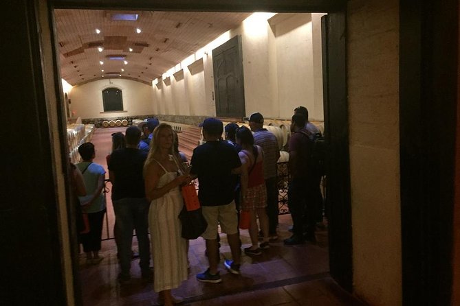 Top Class Wine Tour Concha Y Toro & Las Majadas Palace – Pirque Town - Overview of the Tour