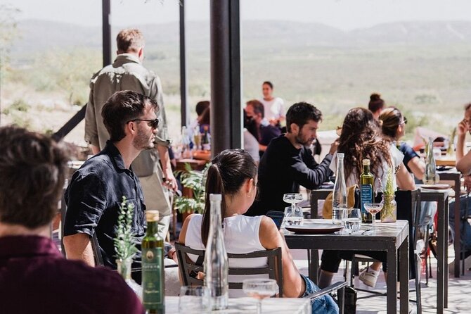 Top Winery and Gourmet Experience in Uco Valley.Transfer Included - Experience Overview