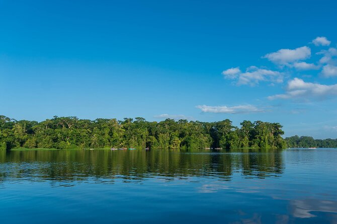 Tortuguero: Canoe Tour + Night Tour or Turtle Spawning