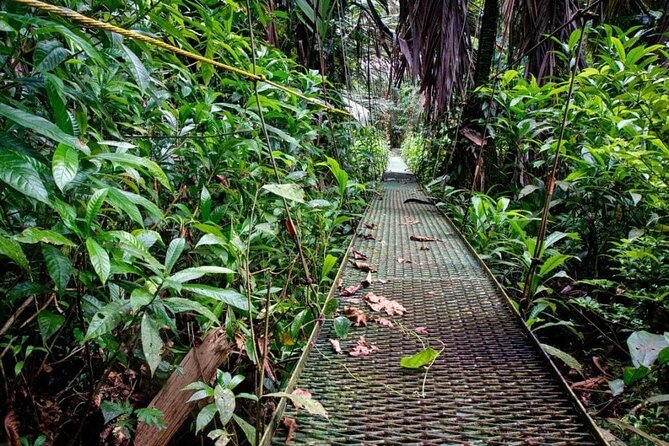 Tortuguero National Park - Admission Ticket - Overview of Tortuguero National Park