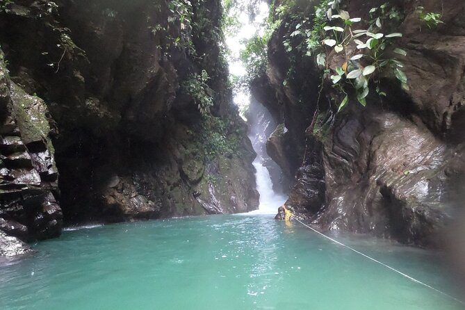 Tour Birds, Anchicaya and the Oasis De La Sirena - Itinerary Highlights