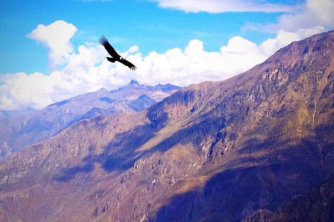 TOUR COLCA CANYON (FULL DAY) - Shared Service - Meeting and Pickup