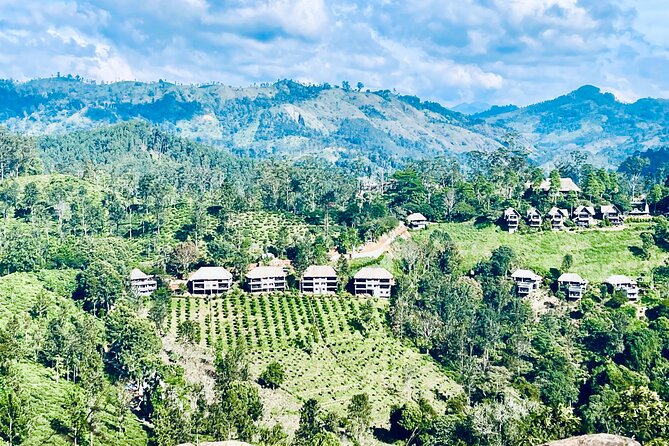 Tour Ella With a Local, Learn About Life in Sri Lanka!