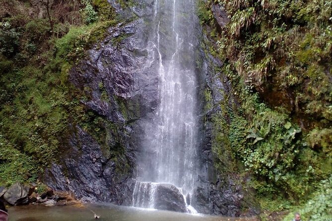 Tour Great Waterfall Cocora Valley - Starting Point and Pickup Details