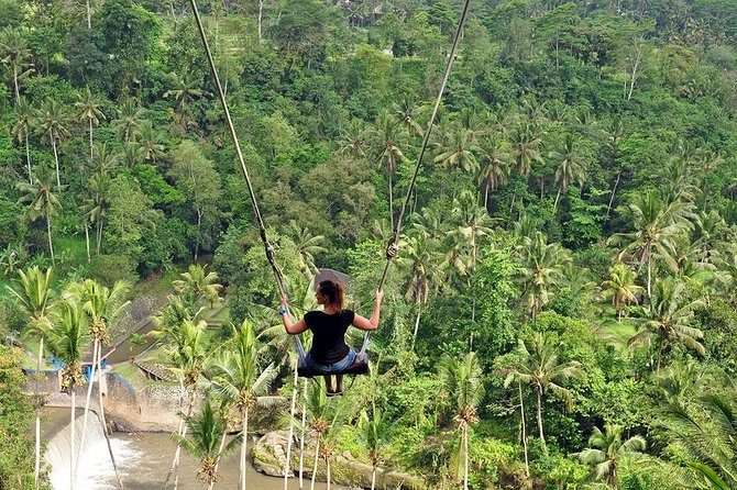 Tour Monkey Forest – Jungle Swing – Rice Terrace – Water Temple and Waterfall