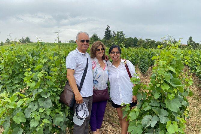 Tour to Beaujolais and Wine Treasures From Lyon