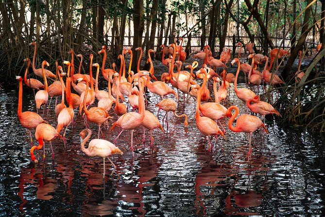 Tour to the National Aviary