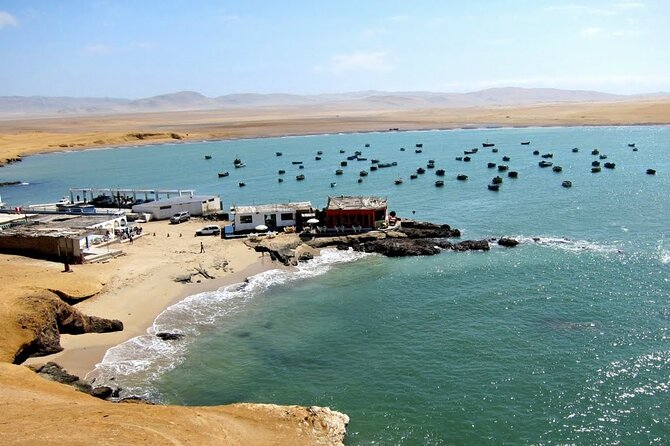 Tour to the Paracas National Reserve for Cruise Travelers - Tour Overview