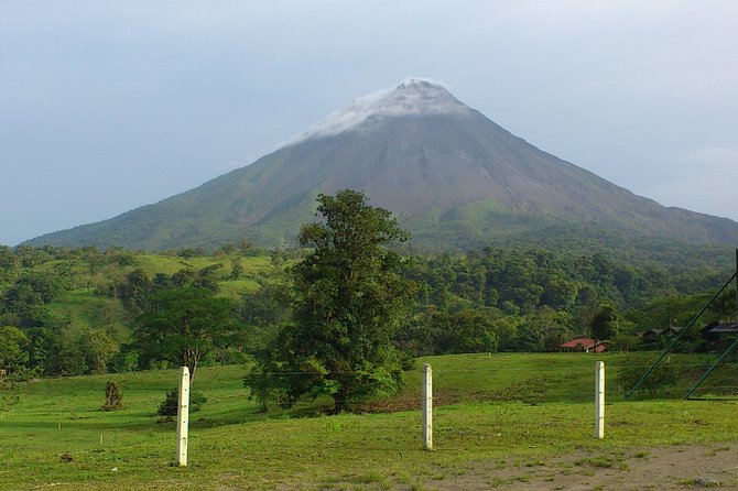 Transfer From Arenal or La Fortuna to Monteverde up to 5 Passengers. (One Way) - Overview of Transfer Service