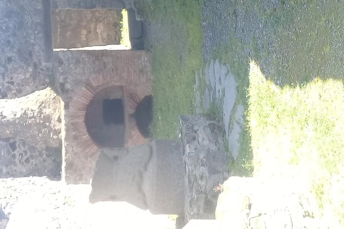 Transfer From Naples Train Station With 2 Stops (Herculaneum & Pompeii) - Accessibility and Participation