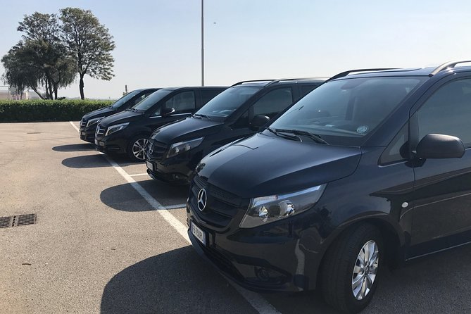 Transfer From SORRENTO to ROME With 2 Hours Stopover in Pompeii ( Not Sharing ) - Service Details