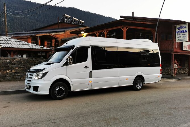 Transfer: From Tbilisi Airport to Gudauri Winter Resort - Transfer Details