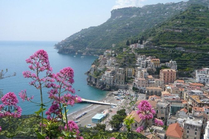 Transfer Minors - Transportation Information