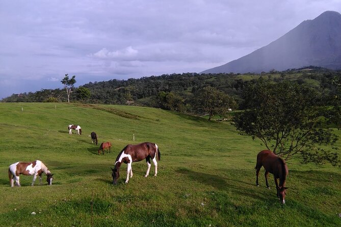 Transfer Private From Arenal or Fortuna to Tamarindo Guanacaste