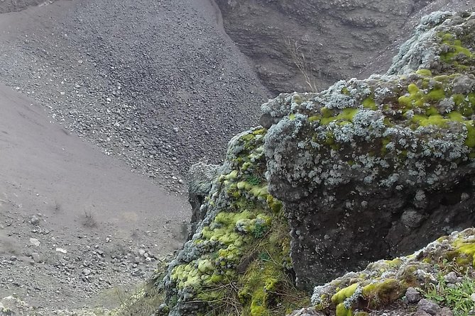 Transfer-Rome to Naples With a 2 Hour Stop in Mount Vesuvius or Vice Versa - Service Inclusions