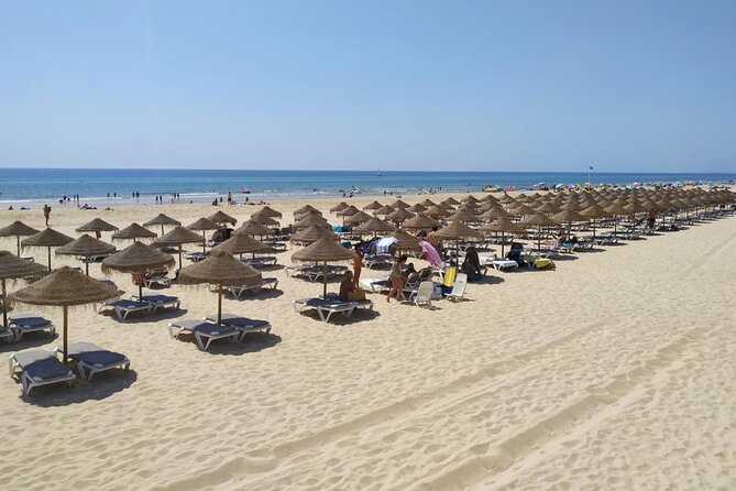 Transfer to Altura From Lisbon - Transfer Details