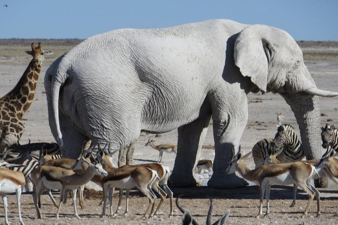 Transfers to Destinations in Namibia