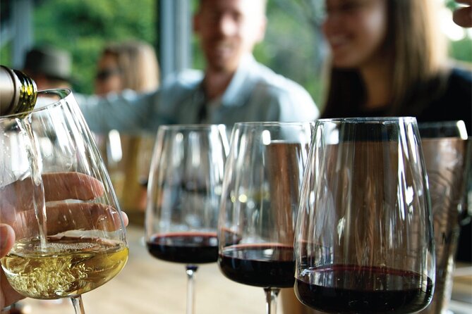 Trapiche Winery + Laur + Antigal Winery Lunch.Transfer Included