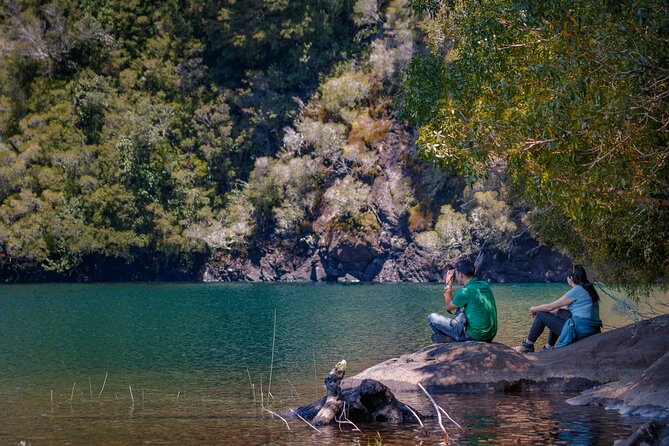 Trekking Alerce Andino National Park in Puerto Varas - Trekking Experience Details