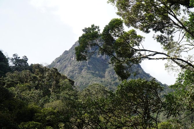 Trekking Finca La Argentina 2 Days (3450 Masl)