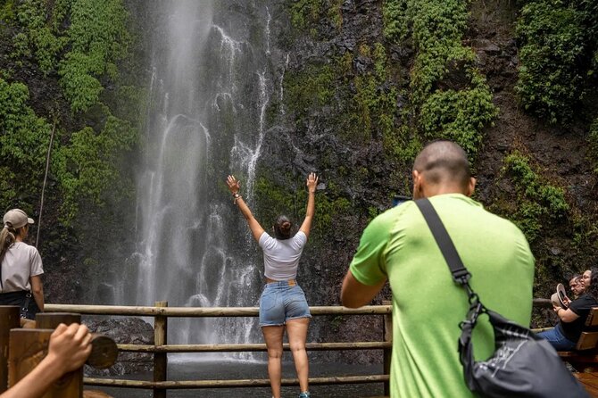 Trekking/Hiking Yarumo Blanco Waterfall From Pereira or Armenia