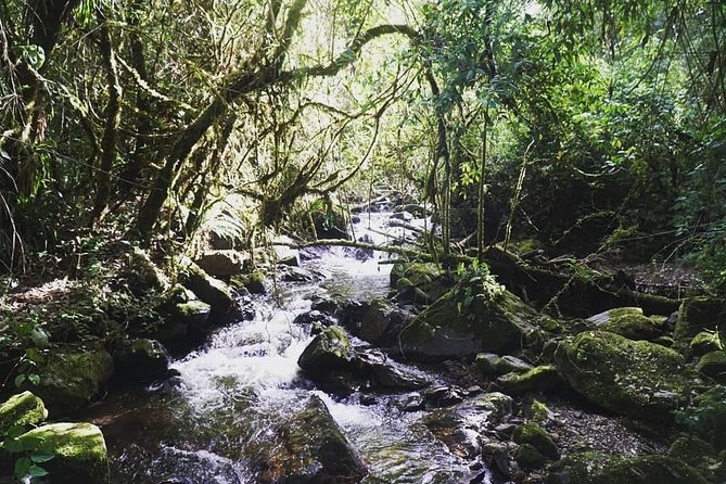 Trekking Laguna Del Encanto 3 Days (3950 Meters High)